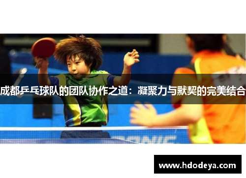 成都乒乓球队的团队协作之道：凝聚力与默契的完美结合